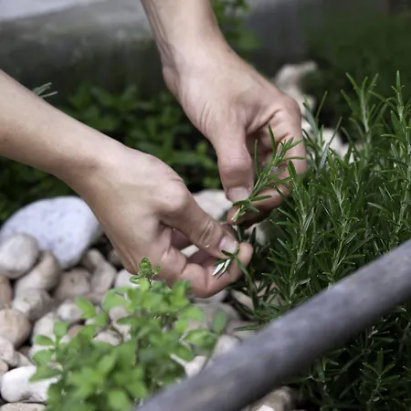 Galzignano Terme&golf - Sporting 4*